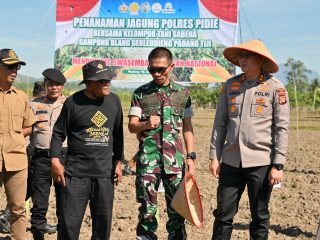 Dandim 0102/Pidie Hadiri Tanam Jagung Bersama di Padang Tiji, TNI AD Tegaskan Komitmen Dukung Swasembada Pangan