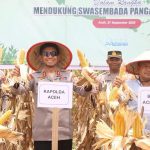 Kapolda Aceh Panen 24,5 Ton Jagung Kuartal III di Aceh Jaya