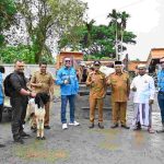 PT. MIFA BERSAUDARA Salurkan Hewan Qurban Ke Wilayah Operasional Perusahaan 