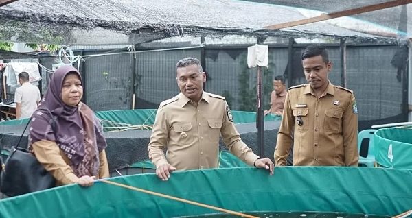 Bupati Safaruddin Puji Inovasi Pemerintah Desa Geulumpang Payong Soal Budidaya Ikan Lele