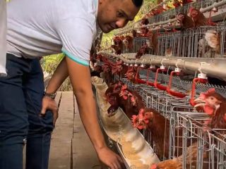 Tinjau Peternakan Ayam Petelur, Anggota DPR RI Fraksi PDIP Dorong Warga Jadi Usaha Mandiri