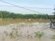 215 Hektar Padi Milik Warga Abdya Terendam Banjir